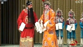 秦腔杨升娟最新专辑，乡音温情之选