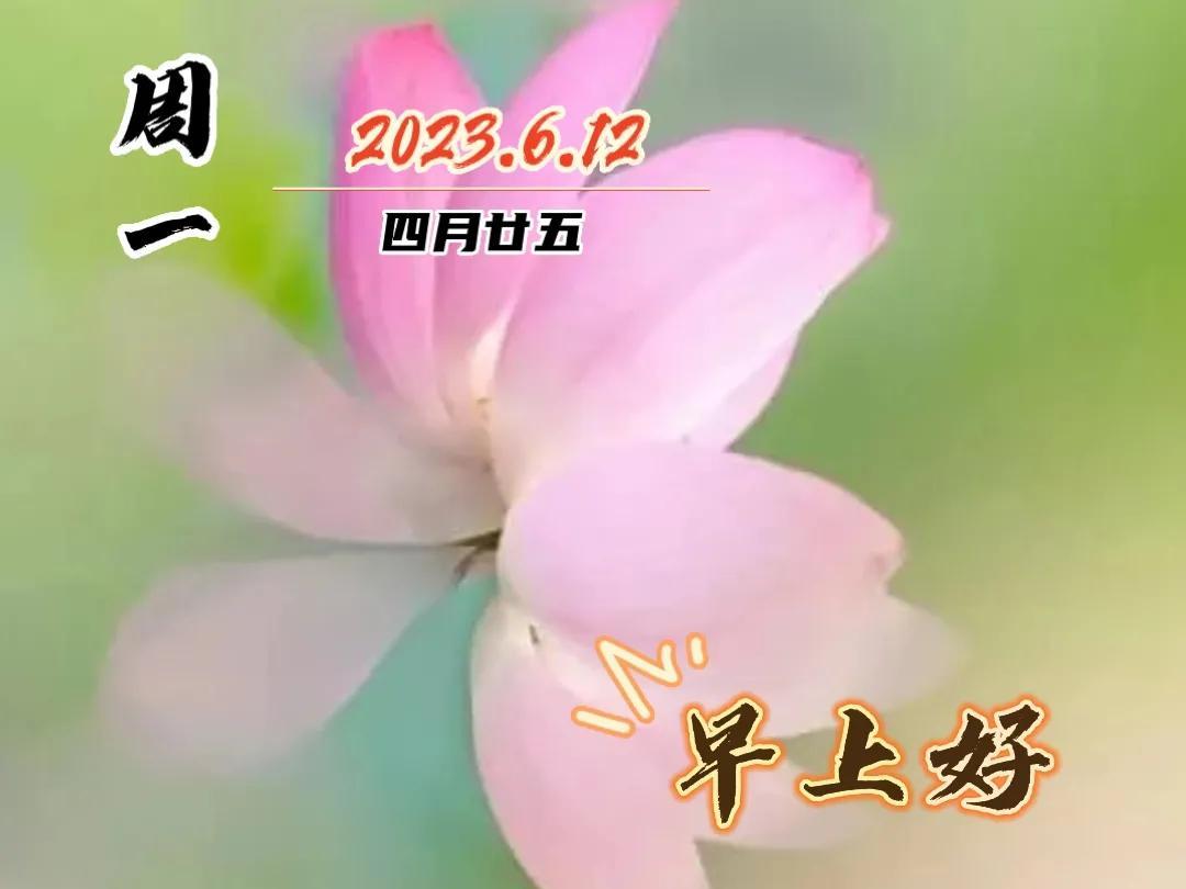 最新一期一成成双，友情与陪伴的温馨日常时光