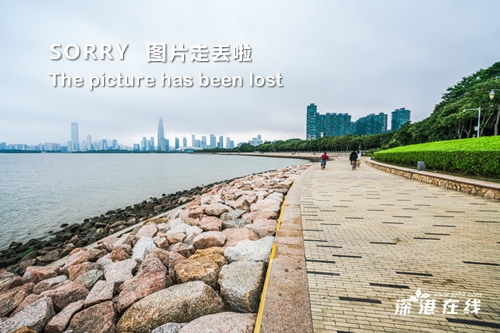 第1297页