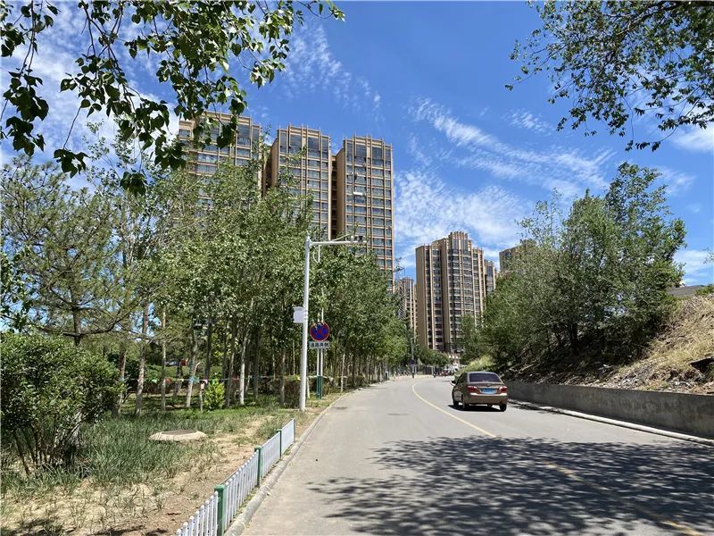 张家口纬一路最新动态，道路见证成长，万千梦想在此闪耀自信光芒