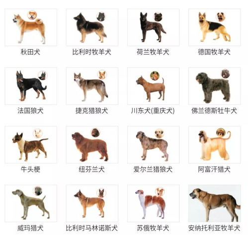第1239页