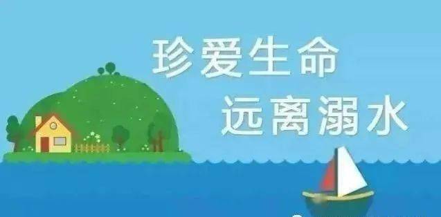 细菌最新动态，日常故事中的温馨与科学进展