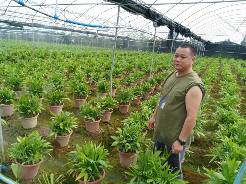 北京疫情区最新划分与探索自然美景之旅