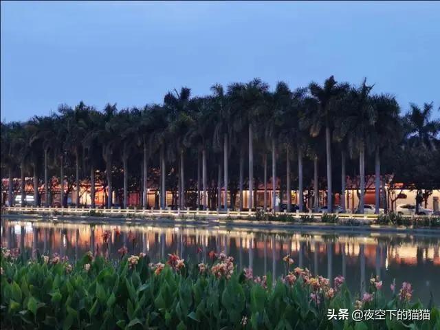 漳州港大名唐最新房价揭秘，小巷风情与美食背后的房价探秘