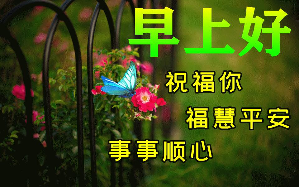 最新广场舞步子舞32步，与自然美景共舞，探寻内心平和之旅