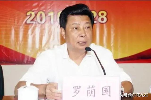 罗荫国相关政治人物动态概览，最新消息与话题解读