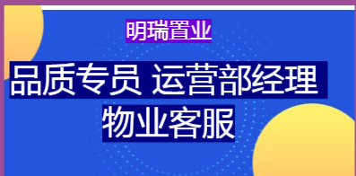 财务咨询 第357页