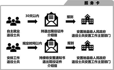 最新退伍军人安置步骤指南，全面解析安置流程与细节