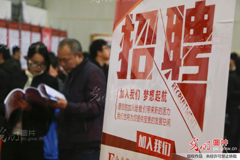 桐庐十九楼最新招聘，求职步骤指南与岗位信息速递