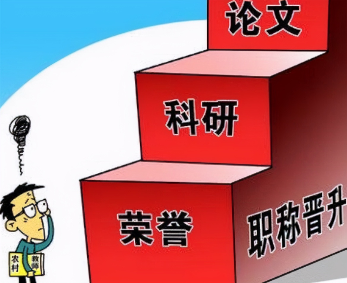 深圳最新教师招聘信息揭秘，小林的求职奇遇与友情纽带之旅