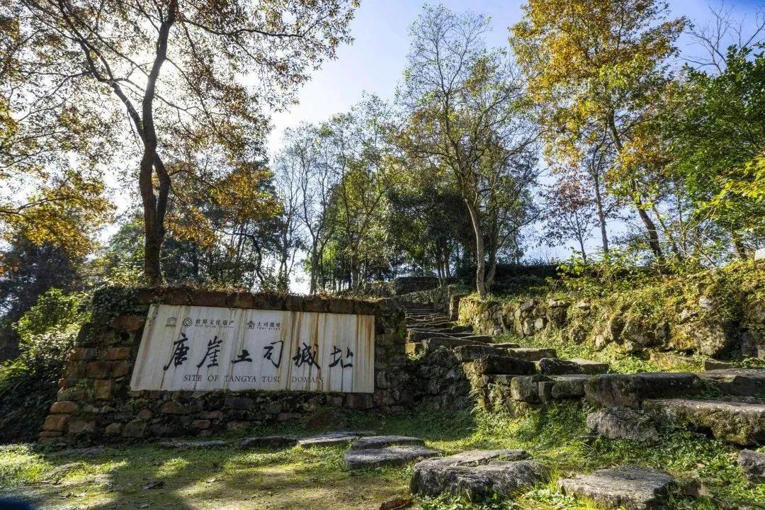 长荆铁路复线最新动态与小巷探秘揭秘