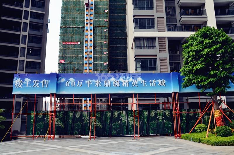誉峯名门万达最新消息揭秘，火热更新速递