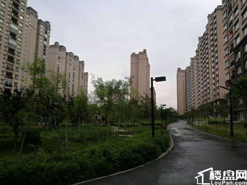 财务咨询 第343页