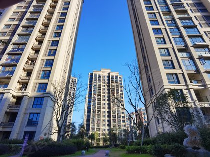 庐江湖山壹品最新进展揭秘