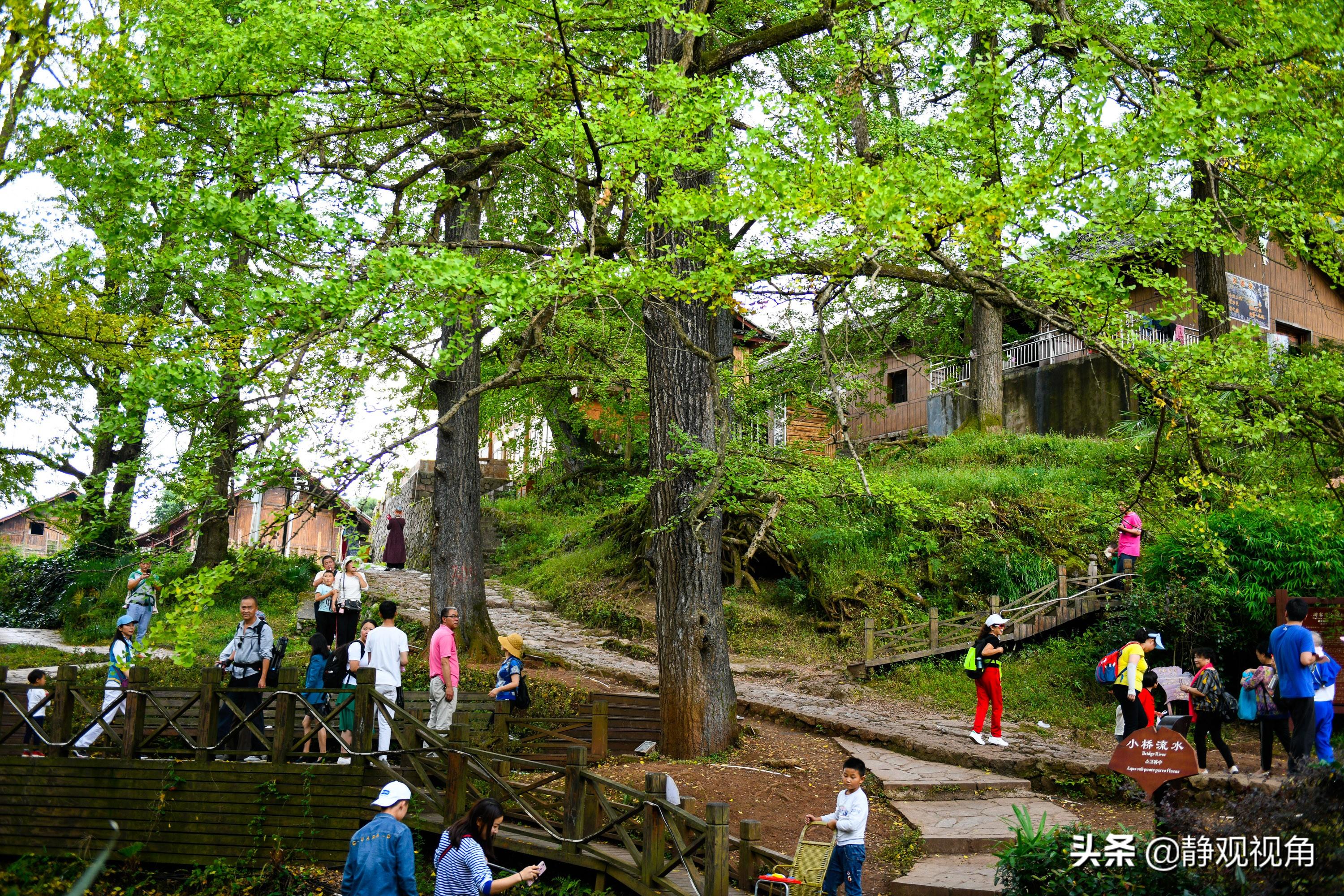 凉城县二手房探索，自然美景与内心平和的旅程