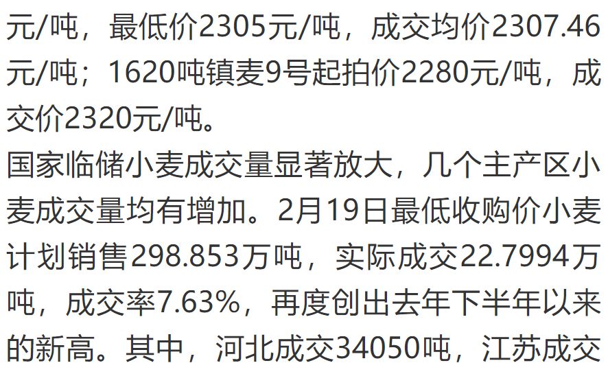 🌟今日山东小麦最新价格🌟