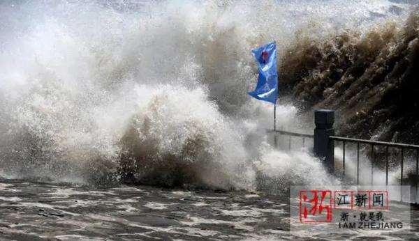浙江杭州最新台风来袭，乘风破浪的应对策略