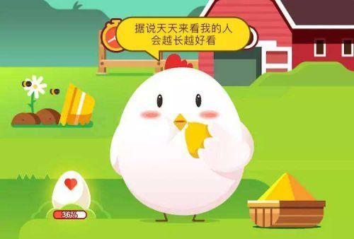 今日最新小鸡庄园答案大解密，庄园奥秘全面揭秘