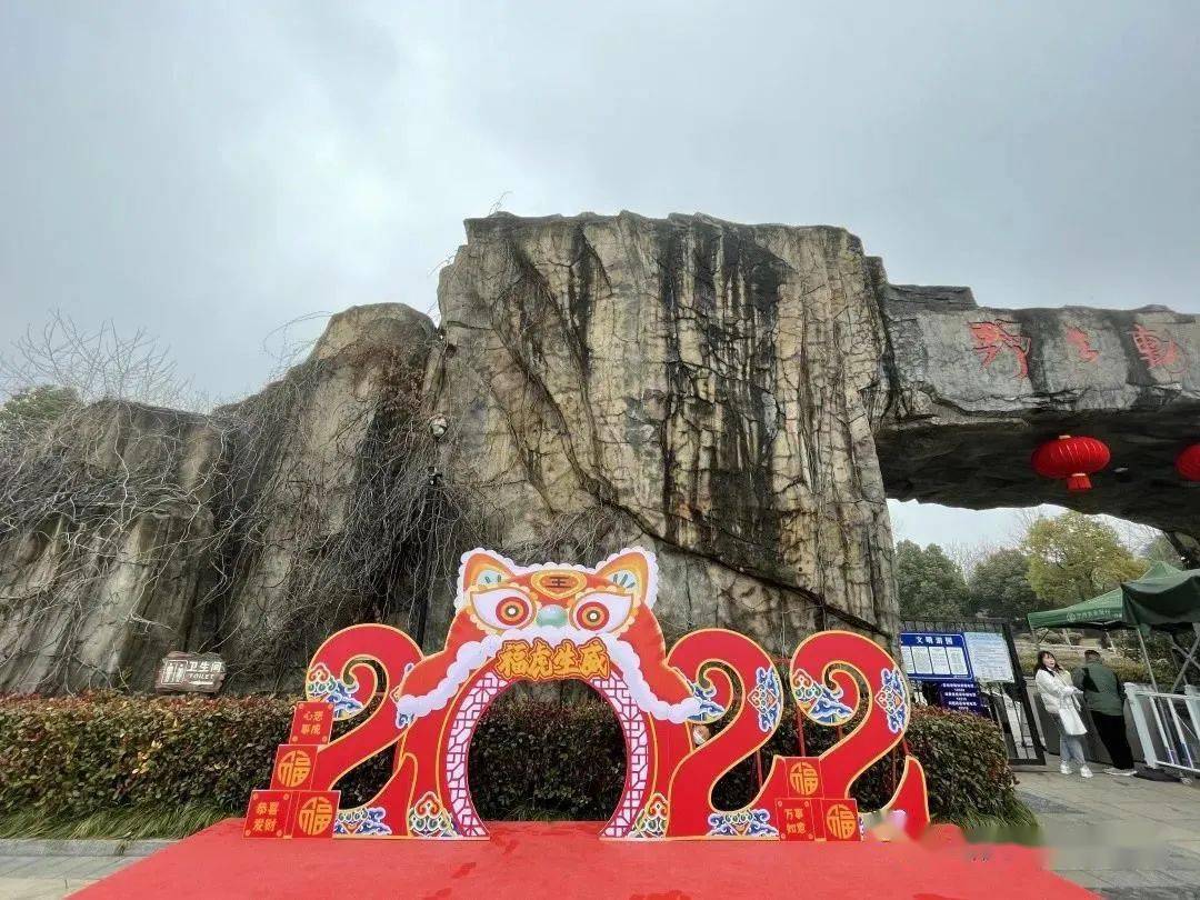 合肥动物园最新动态，一日游新体验
