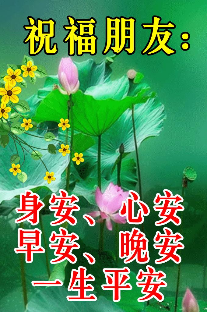 最新旱上好图片分享，清新阳光的问候表情图片
