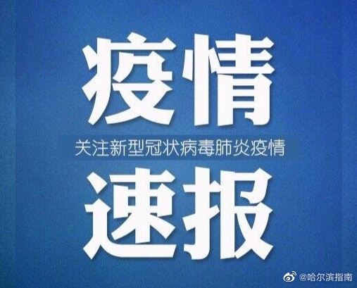 财务咨询 第315页