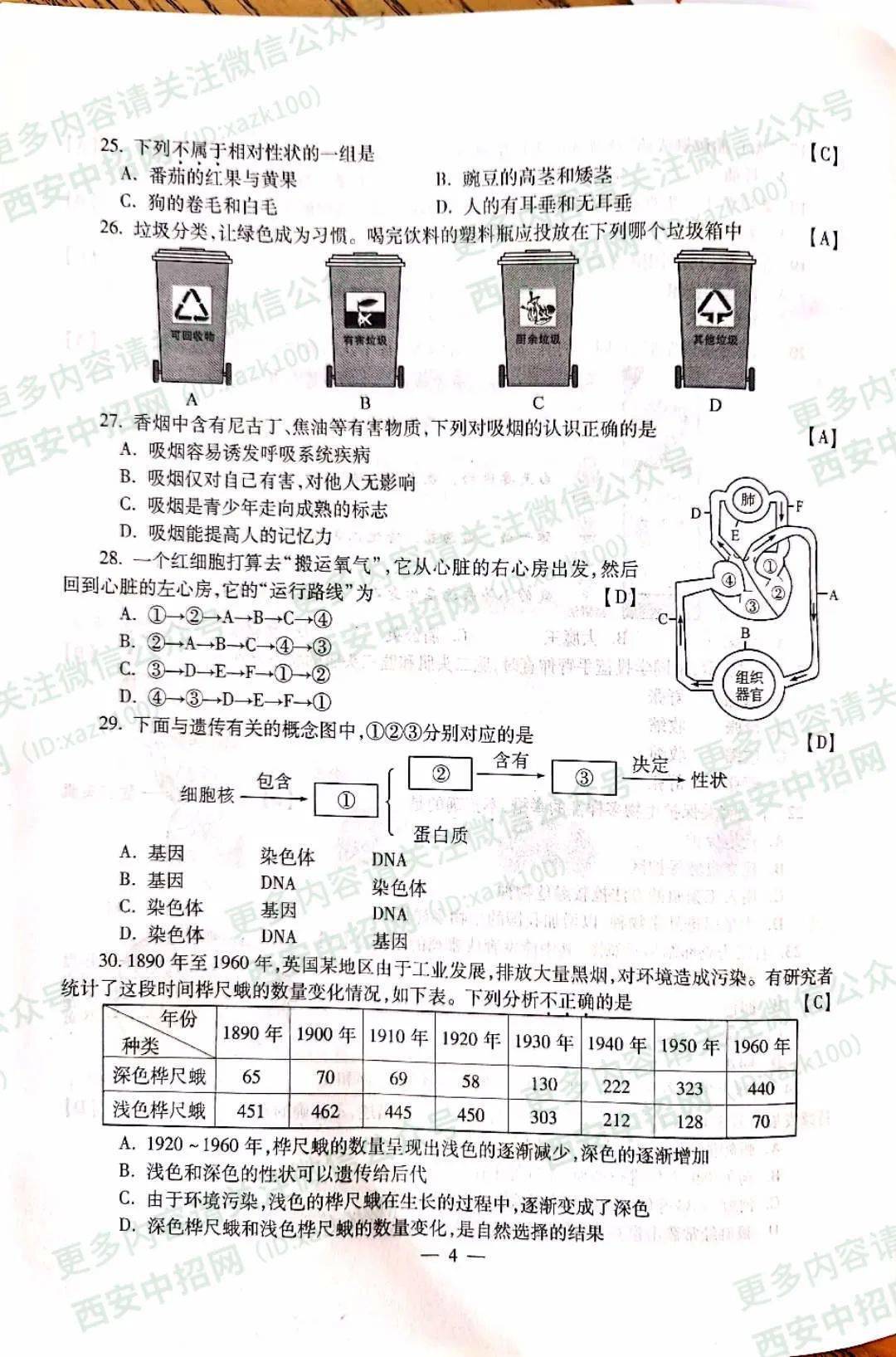 陕西中考模拟卷，自然美景的探索之旅