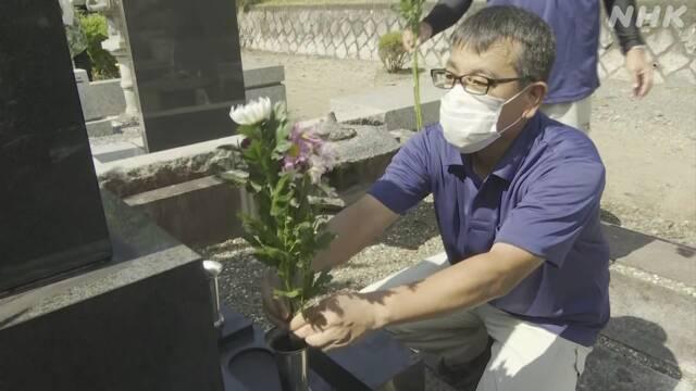 日本疫情最新动态及步骤指南概述