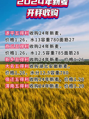 🌟 揭秘2024年小麦最新价格走势 🌟