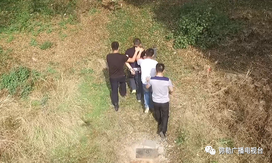 云南弥勒最新事件揭秘